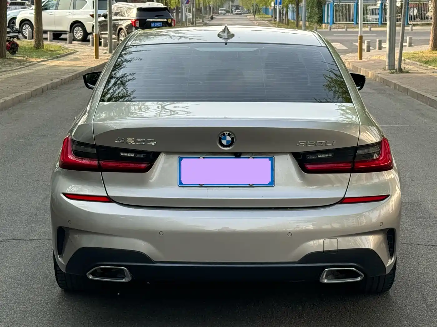 BMW 3 Series 2020 320Li M Sport Package фото 5