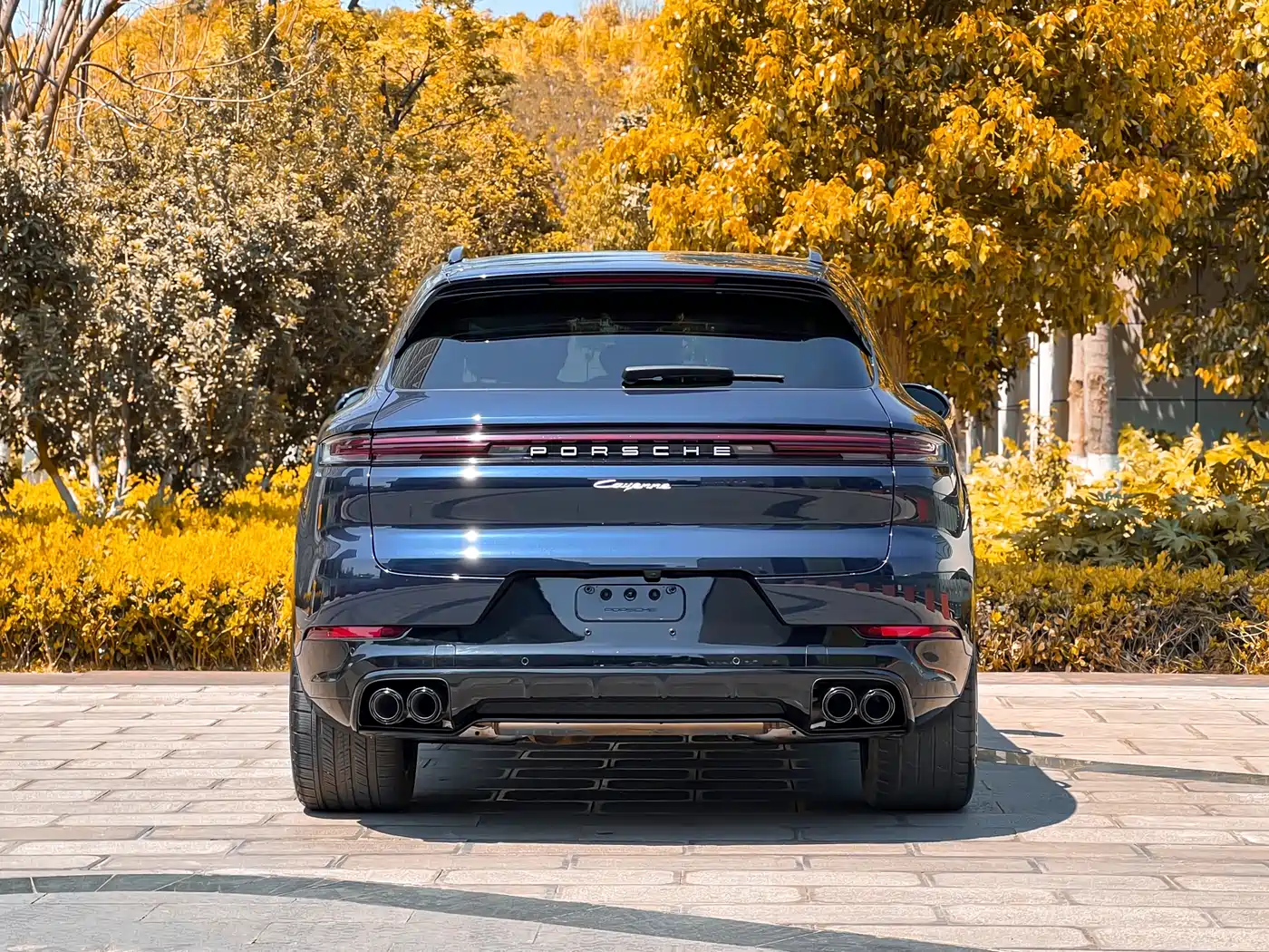 PORSCHE CAYENNE NEW ENERGY