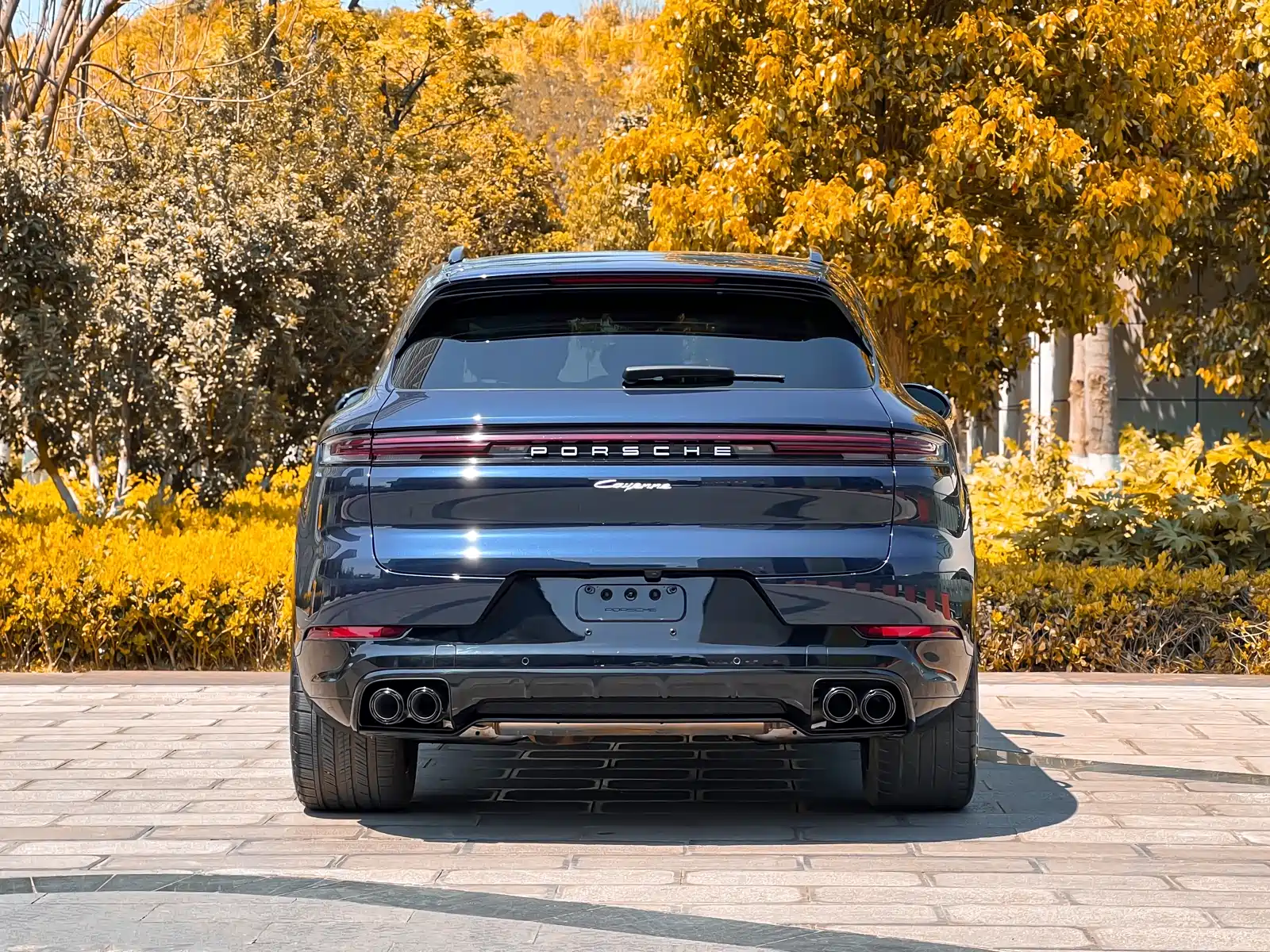 Фото 5 - Porsche Cayenne New Energy