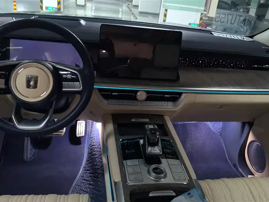 Tank 500 2022 3.0T Premium Custom Edition 5-Seater фото 16