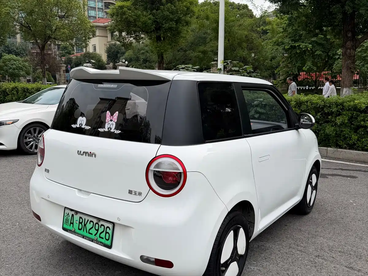 Photo 4 - Changan Lumin