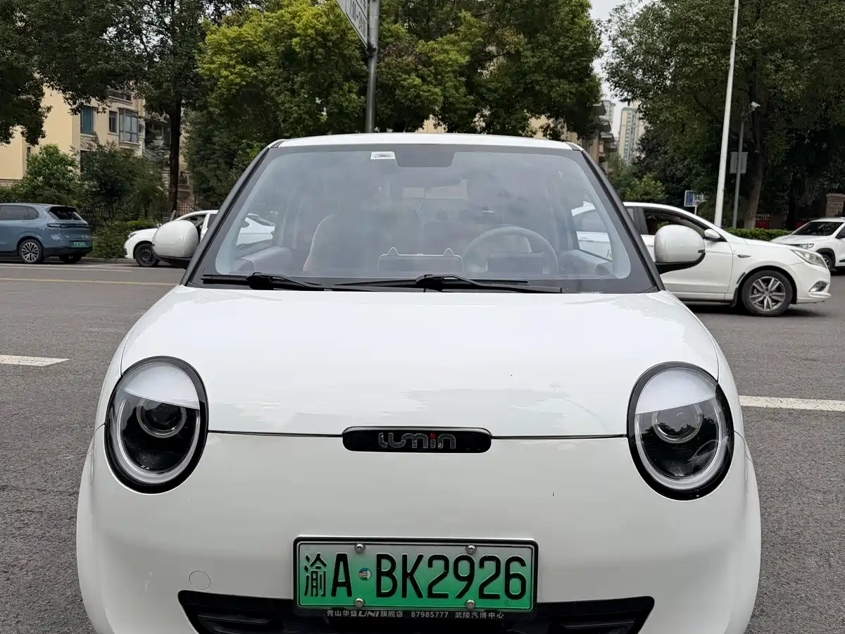 Photo 2 - Changan Lumin