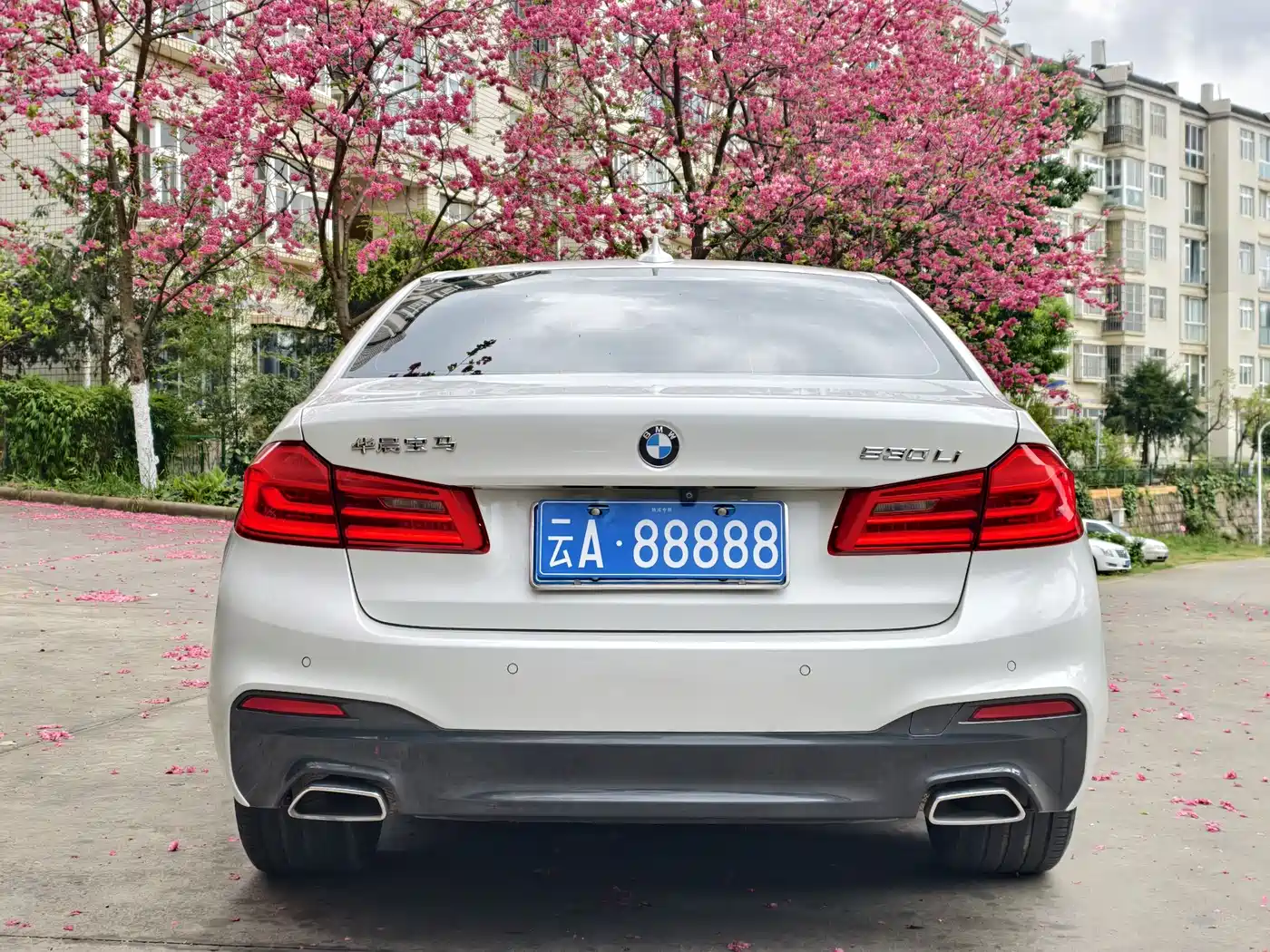 BMW 5 Series 2020 530Li Exclusive M Sport Package фото 8