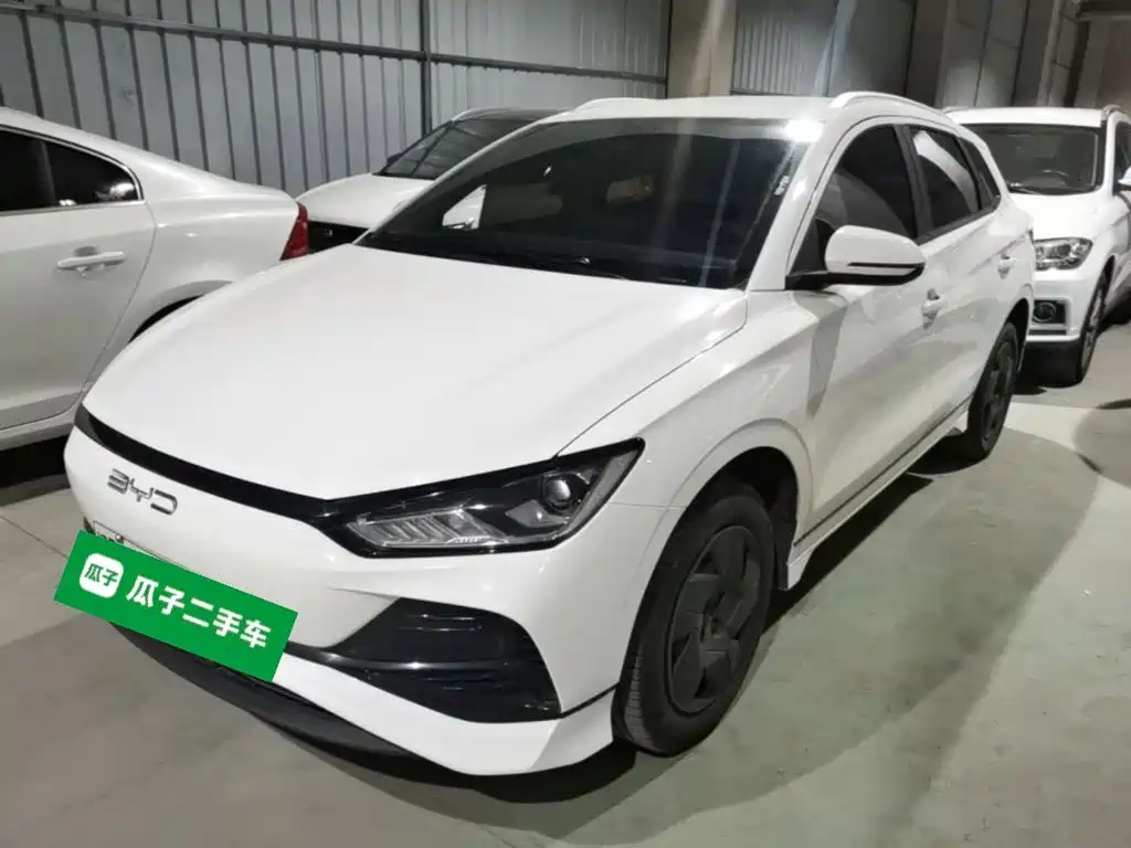 Фото 1 - BYD e2