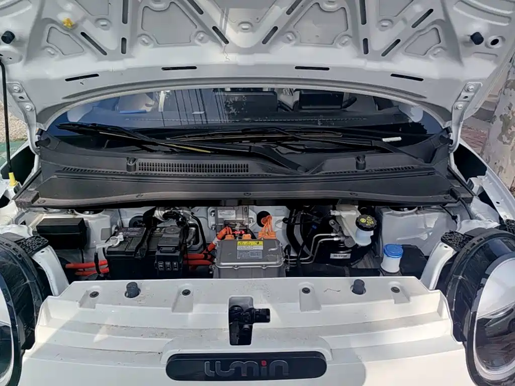 Changan Qiyuan Changan Lumin 2026 2026 Model 205km Treasure Edition