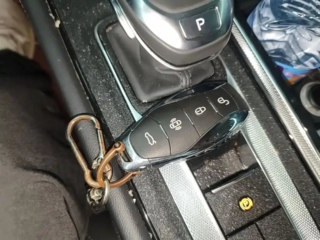 Hongqi H5 2024 2.0T Automatic Smart Connect Flag Smooth Edition фото 9