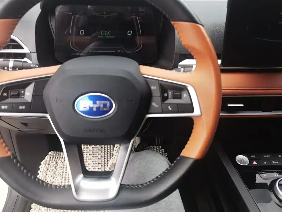 BYD e2 2021 Luxury Edition фото 12