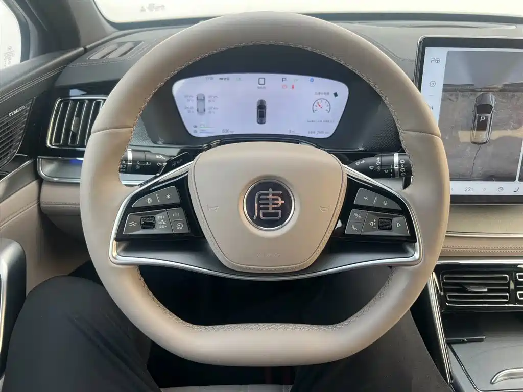 BYD Tang New Energy 2025 Smart Driving Edition DM-i 115KM Flagship фото 13