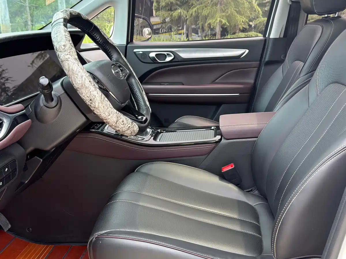 GAC Trumpchi Trumpchi M6 2023 PRO 270T DCT Luxury Edition фото 4