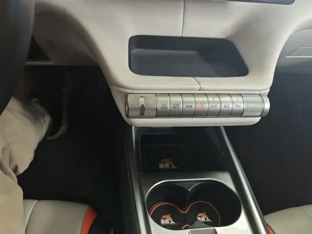 BYD Dolphin 2021 Model 405km Fashion Edition фото 14