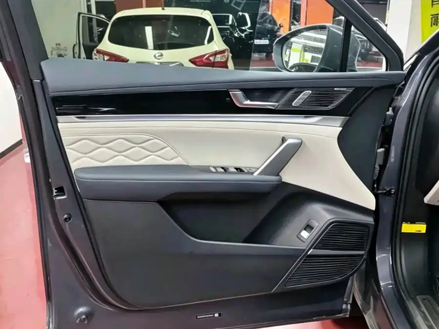 BYD Tang New Energy 2024 EV Glory Edition 730KM Premium фото 6