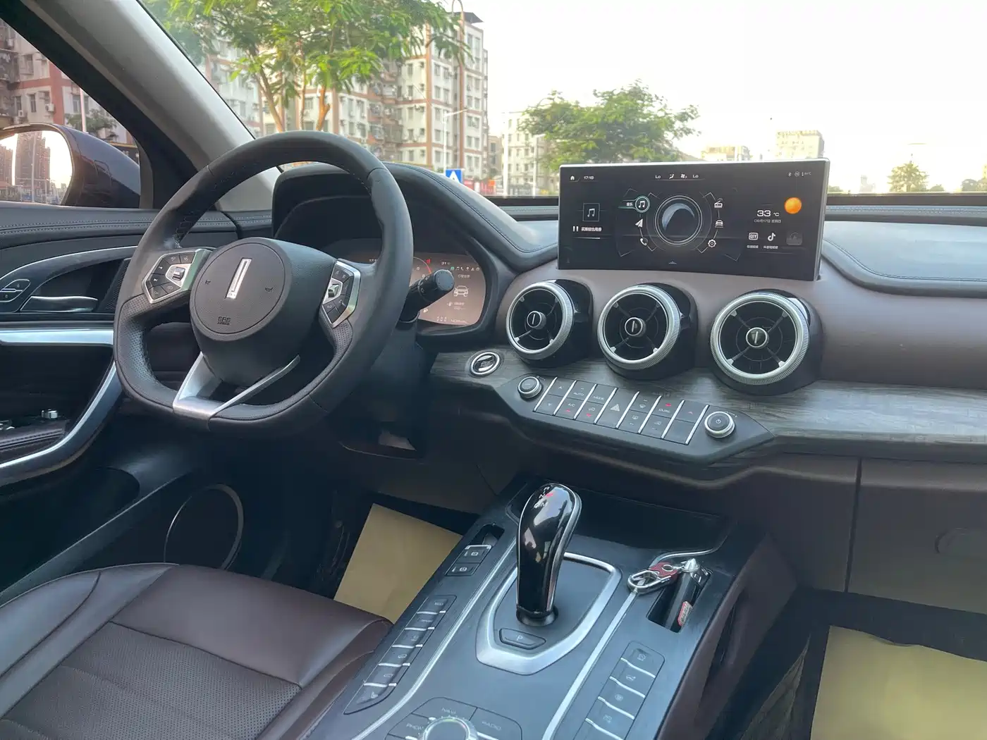 WEY VV7 2020 2020 2.0T Super Luxury