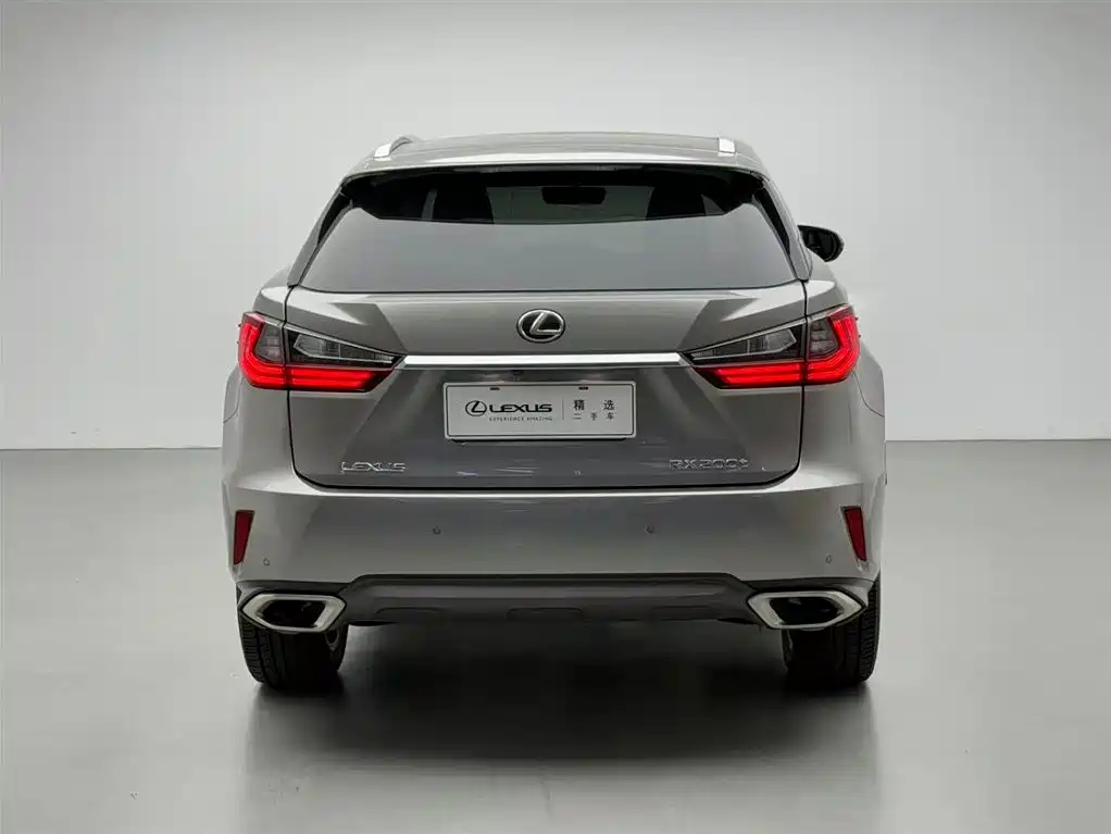 Lexus RX 2016 300 4WD Elegance Edition (China V) фото 20