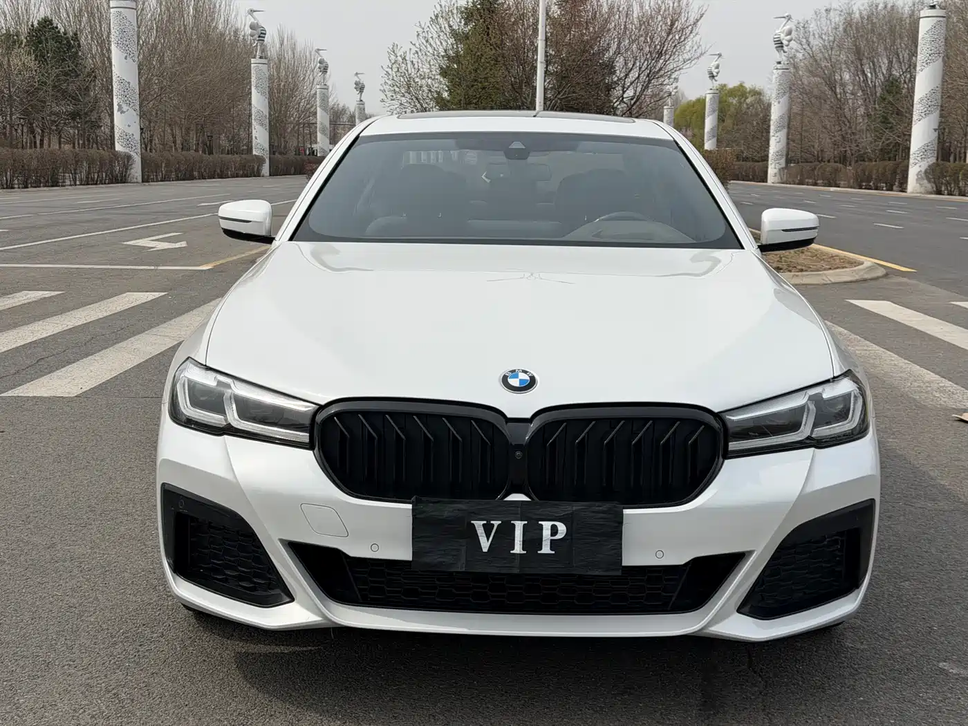 BMW 5 Series 2021 530Li Premium M Sport Package фото 2