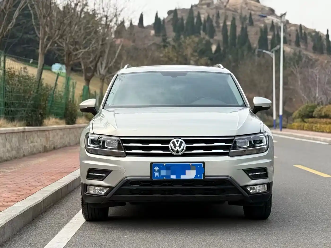 Volkswagen Tiguan L 2018 330TSI Automatic 2WD Luxury Edition фото 2