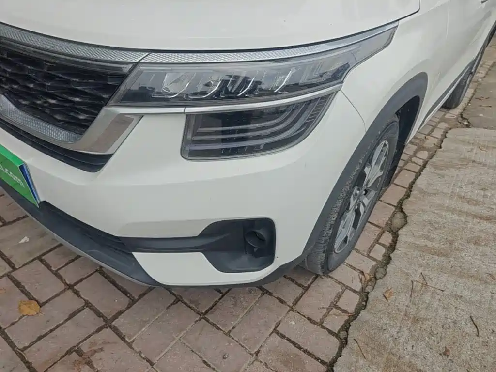 صورة 18 - Kia KX3