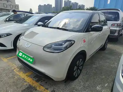 Wuling Bingo