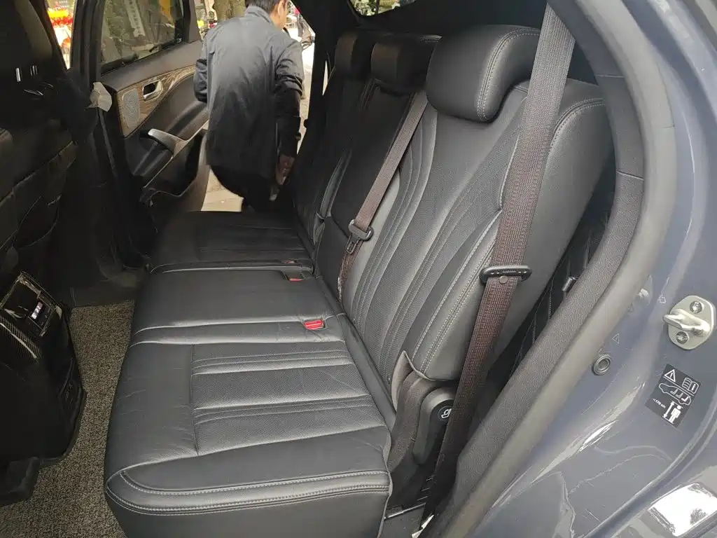 Denza X 2021 2020 Model PHEV Flagship Edition