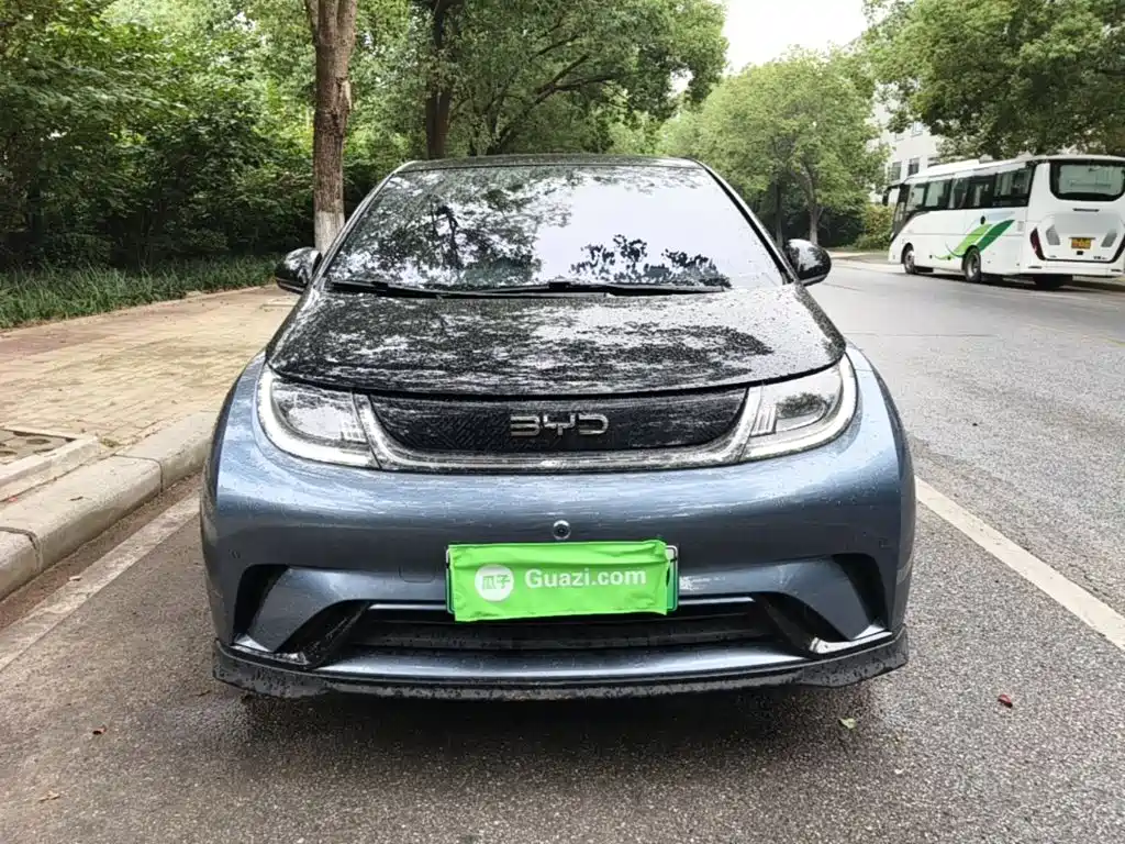 Фото 3 - BYD Dolphin