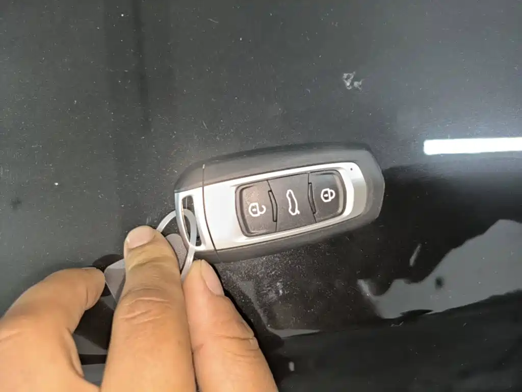 Geely Galaxy Panda 2026 2025 Panda mini 210km Vitality Bear