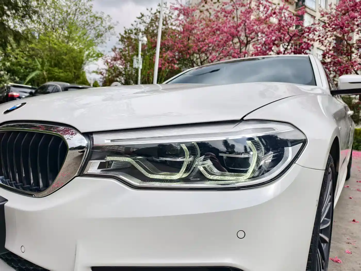 BMW 5 Series 2020 530Li Exclusive M Sport Package фото 10