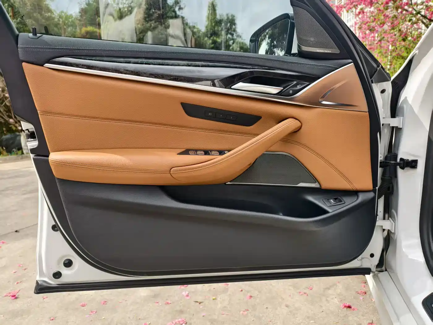 BMW 5 Series 2020 530Li Exclusive M Sport Package фото 15