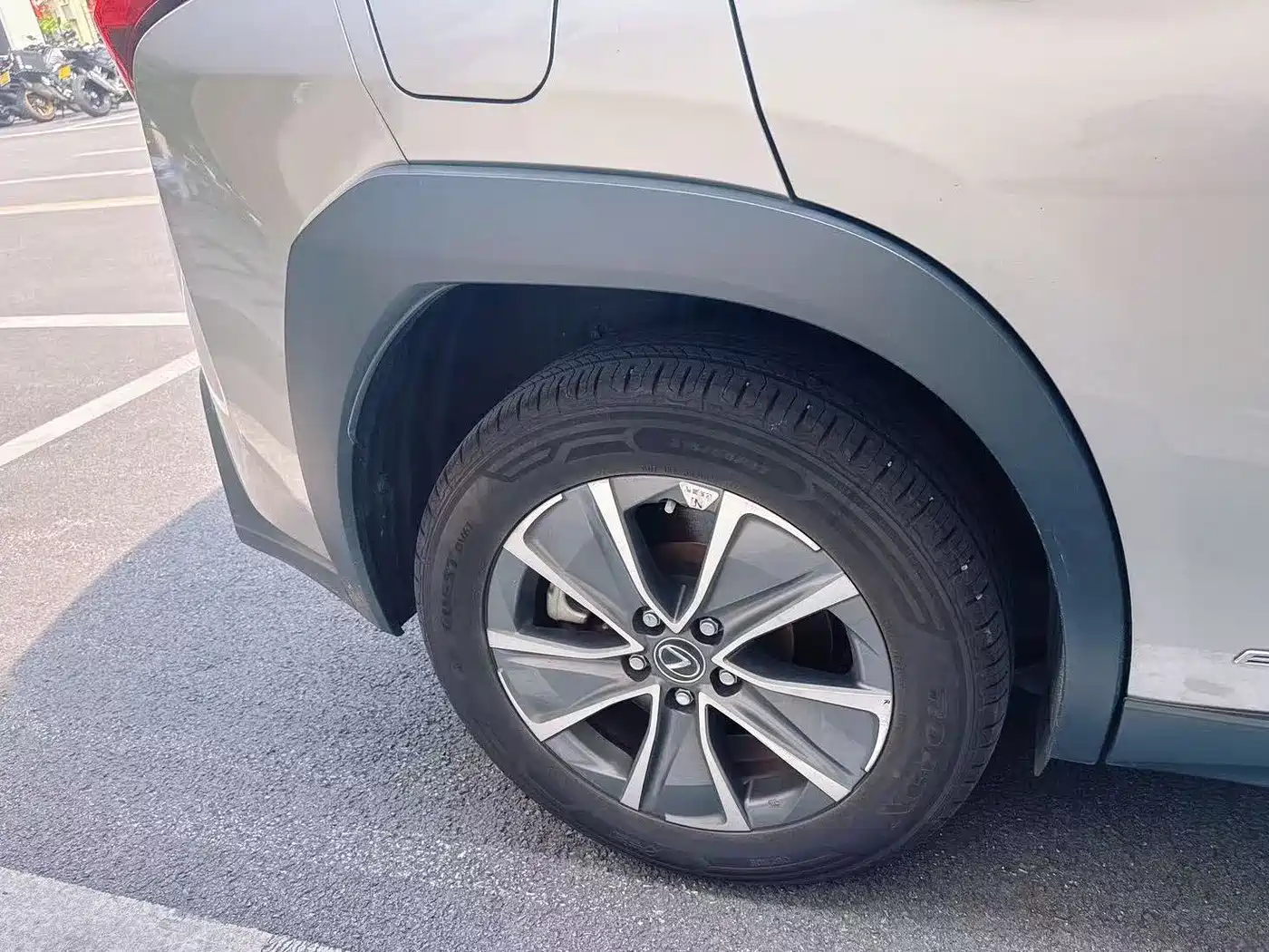 Lexus UX Electric 2022 2020 300e Pure Yue Edition