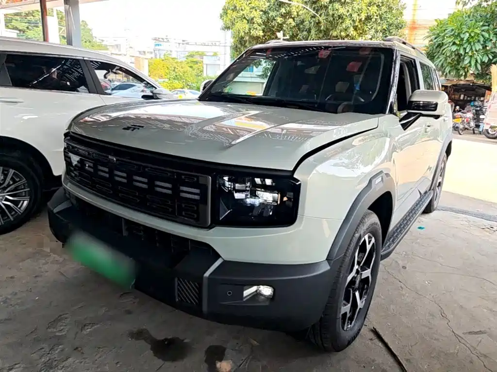 Jetour Shanhai T1 2025 Model Year 150km Discovery