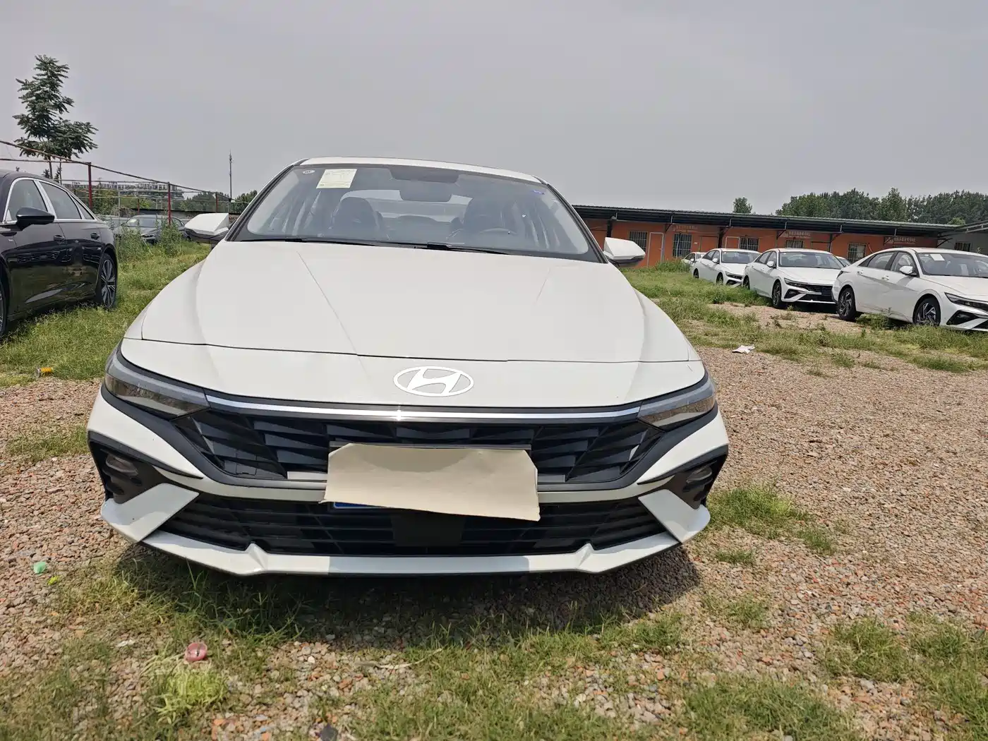 Hyundai Elantra 2023 1.5L CVT GLX Elite Edition фото 2