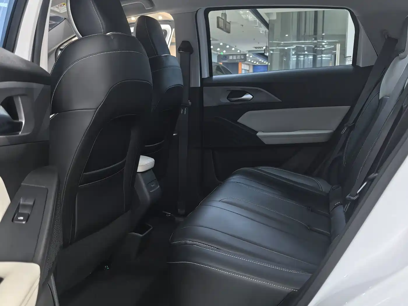 Geely Geometry E Firefly 2024 2024 Model 301km Starlight