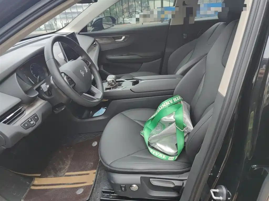 Hongqi E-QM5 2023 Facelift Basic Travel Edition фото 8