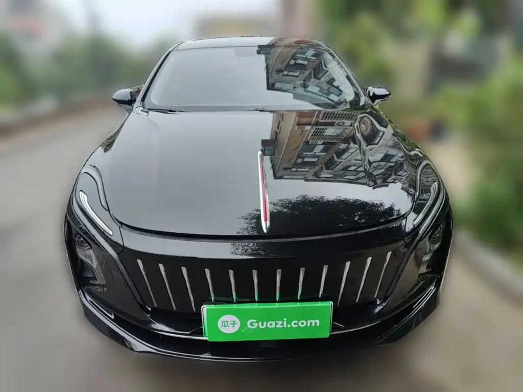 Hongqi E-QM5 2023 Facelift Basic Travel Edition фото 24