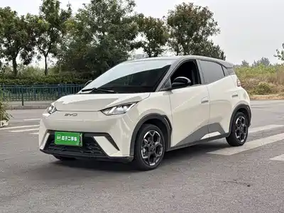 BYD Seagull