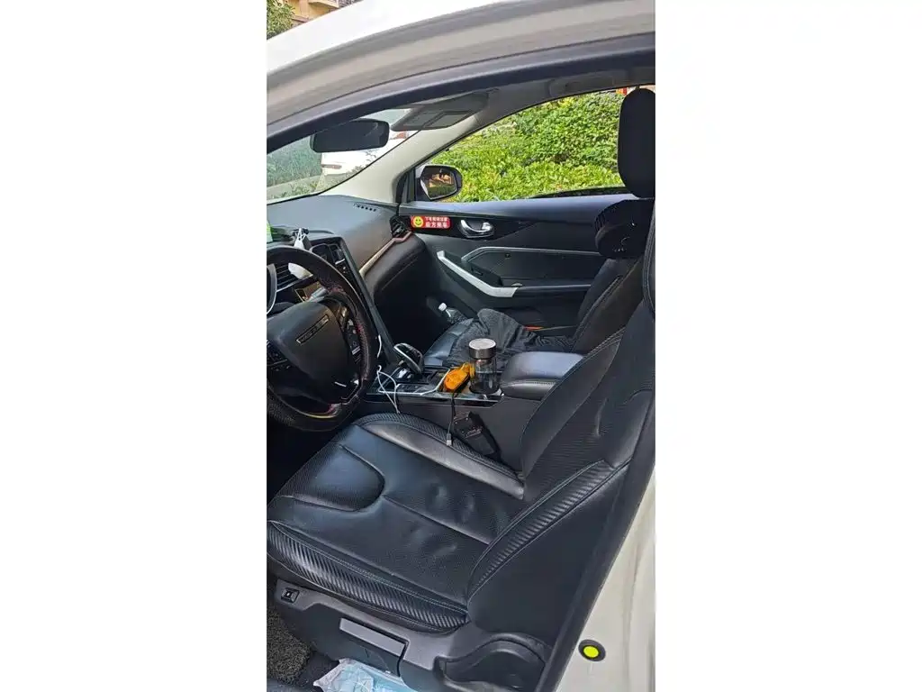 Venucia D60EV 2020 2019 Long-Range Travel Edition