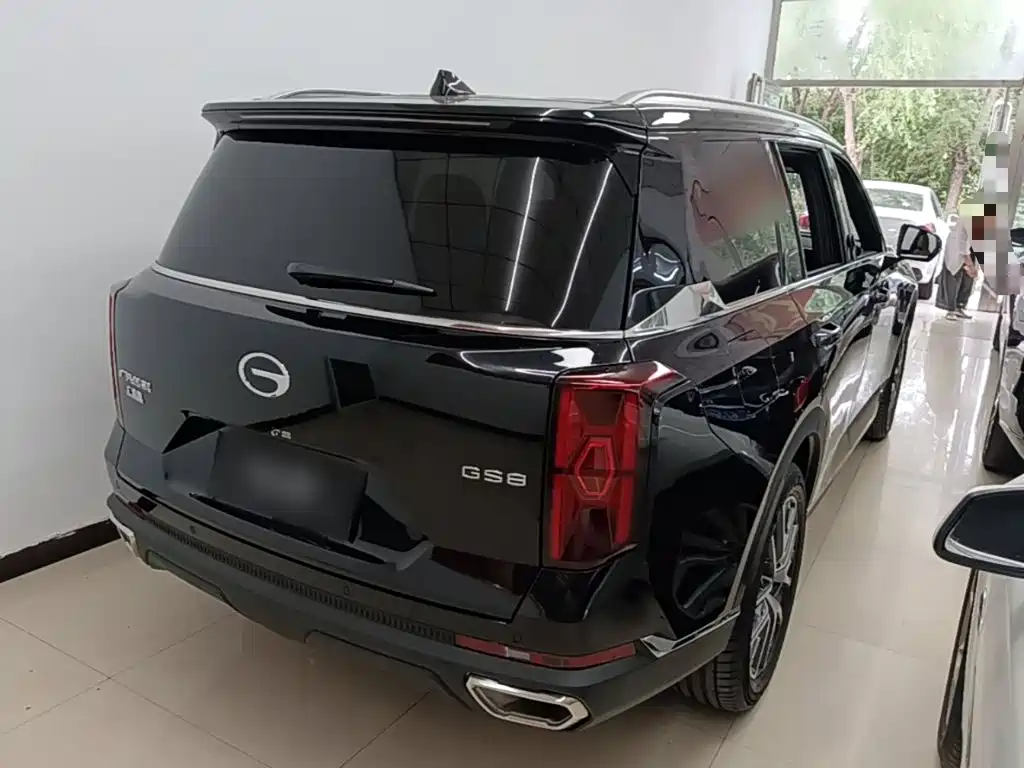 GAC Trumpchi Trumpchi GS8 2025 2025 Pilot Series 2.0TGDI 2WD Luxury Edition 5-seater