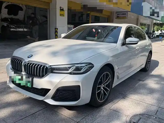 BMW 5 Series New Energy 2021