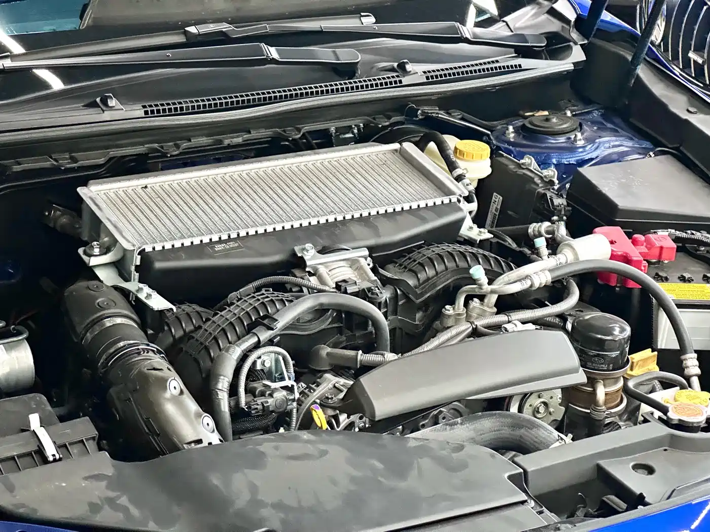 Subaru WRX 2025 2024 2.4T Manual EyeSight Edition