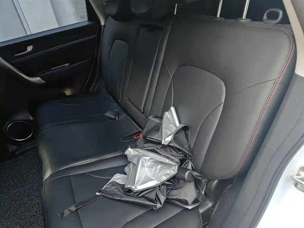 Haval H6 2017 Blue Label Sport 1.5T Auto 2WD Luxury фото 15