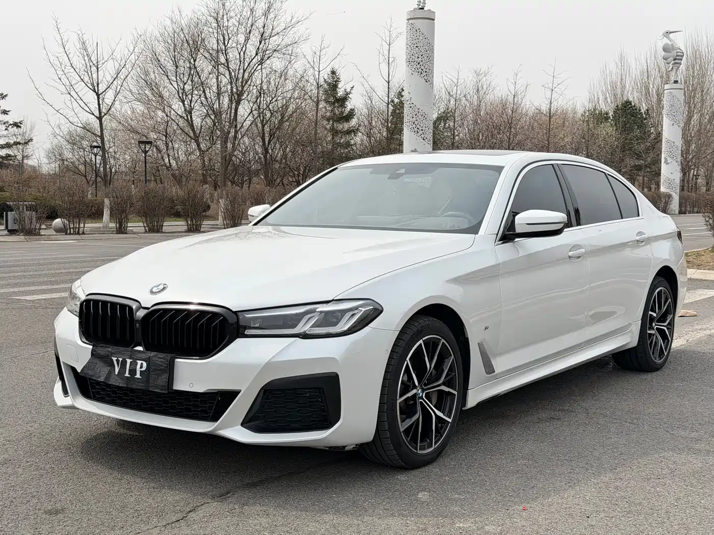 BMW 5 Series 2021 530Li Premium M Sport Package