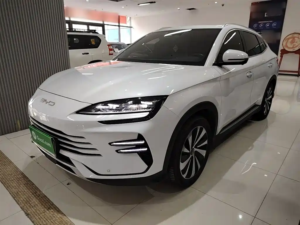 BYD Song PLUS PHEV 2023 Champion Edition DM-i 110KM Flagship PLUS фото 2