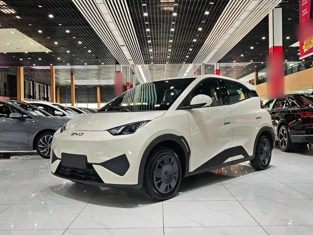 BYD Seagull 2026 2025 Smart Drive Edition 305km Vitality Version