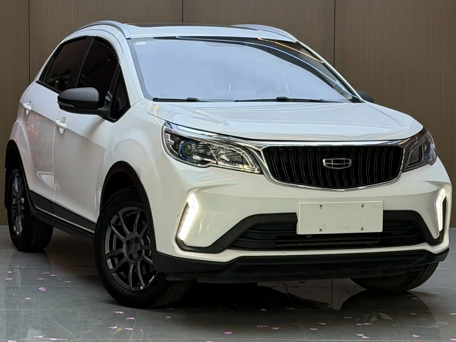 Фото 2 - Geely Vision X3