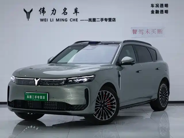 Voyah Auto VOYAH FREE 2025