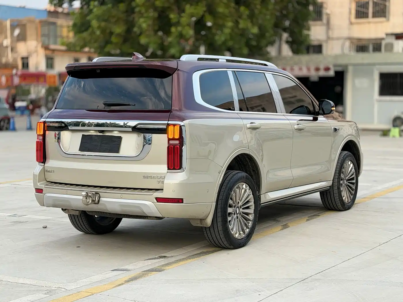Tank 500 2022 3.0T Premium Custom Edition 5-Seater фото 7