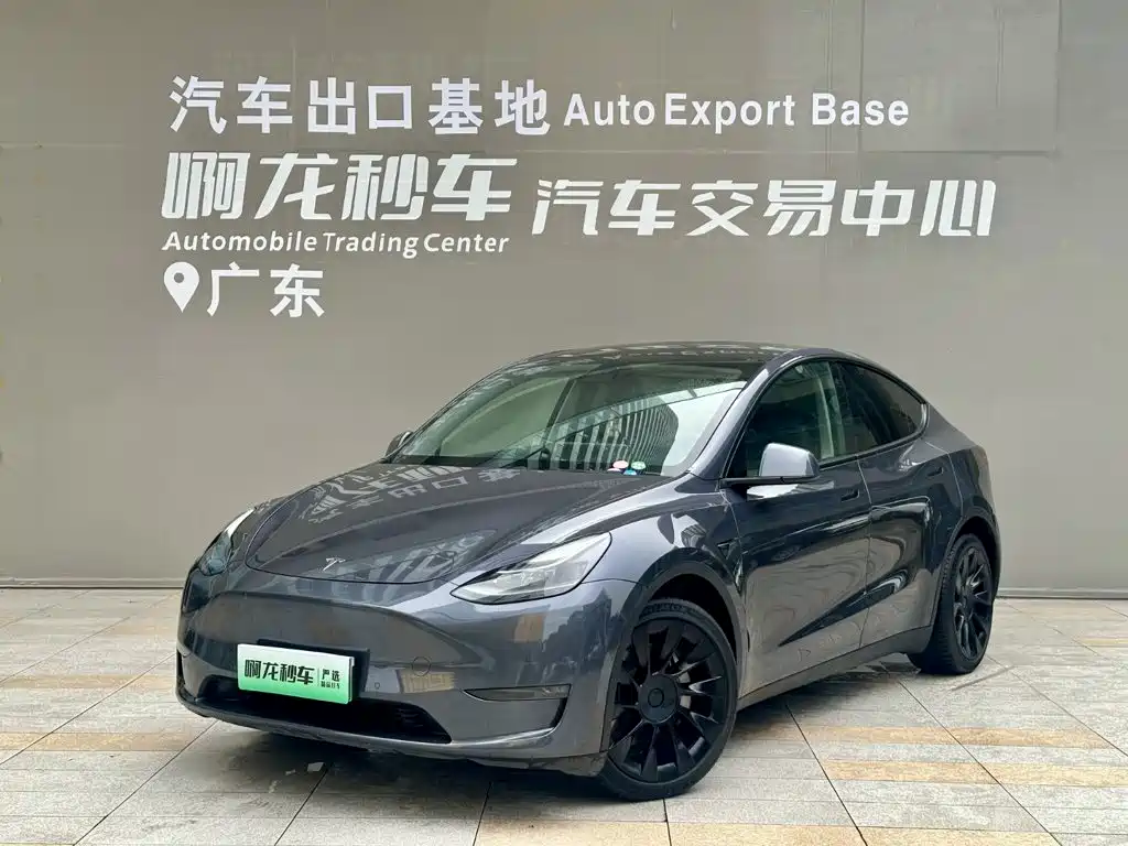 Tesla Model Y 2021