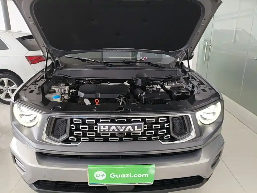 Haval Da Gou 2nd Gen 2024 2023 2.0T 2WD Trendy Off-road Edition Plus