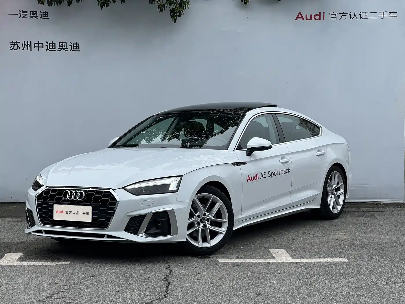 Audi A5 (Import) 2024 Sportback 40 TFSI Fashion Dynamic
