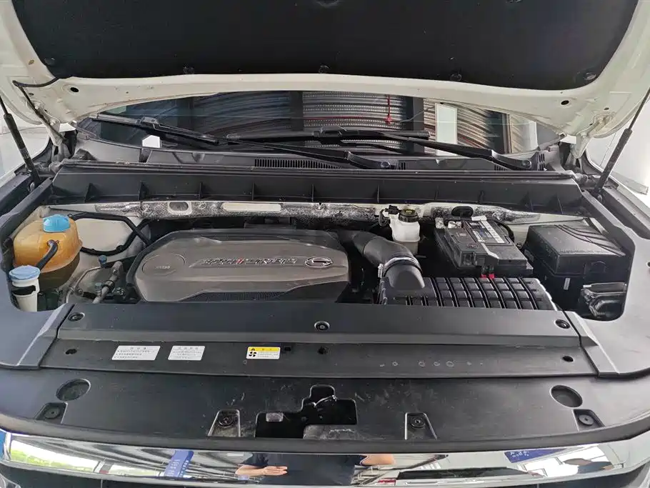 GAC Trumpchi Trumpchi GS8 2017 320T 2WD Luxury Smart Connect (7-seater) фото 10
