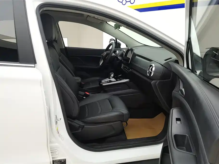 BYD Yuan New Energy 2019 EV535 High Energy Navigation Edition фото 8