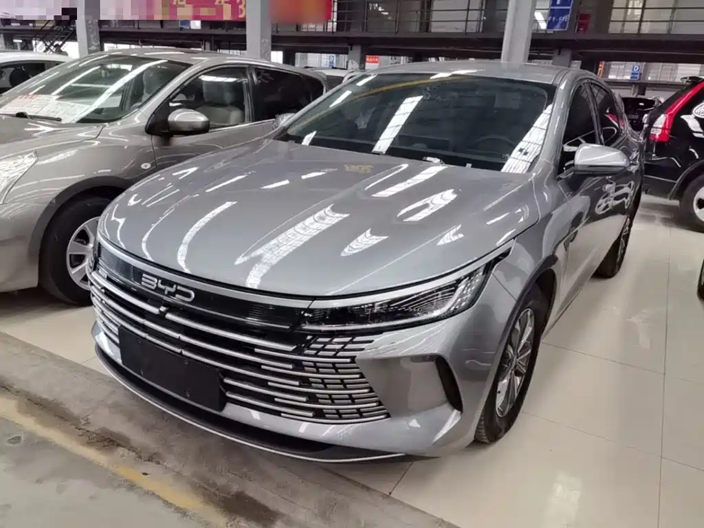 BYD Destroyer 05 2024